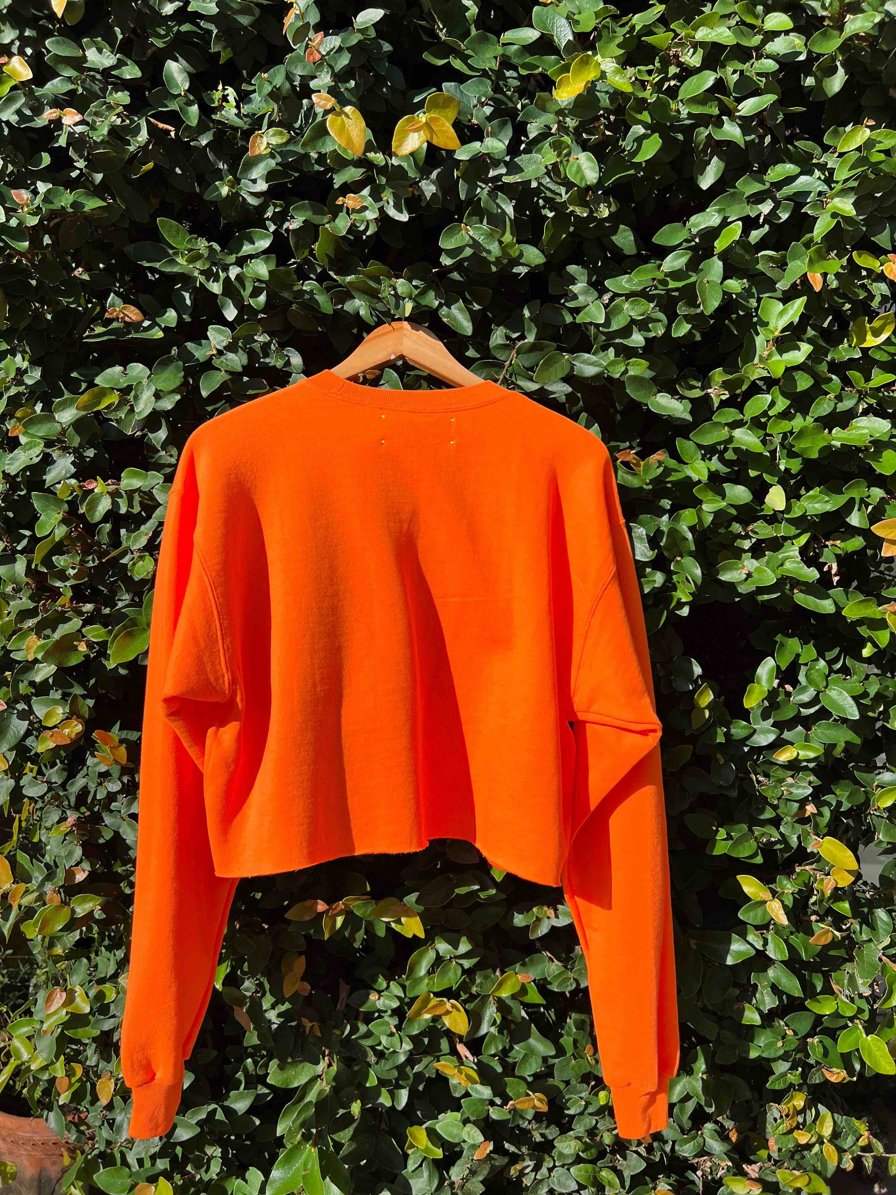 Moneeyyy….Cropped Sweatshirt